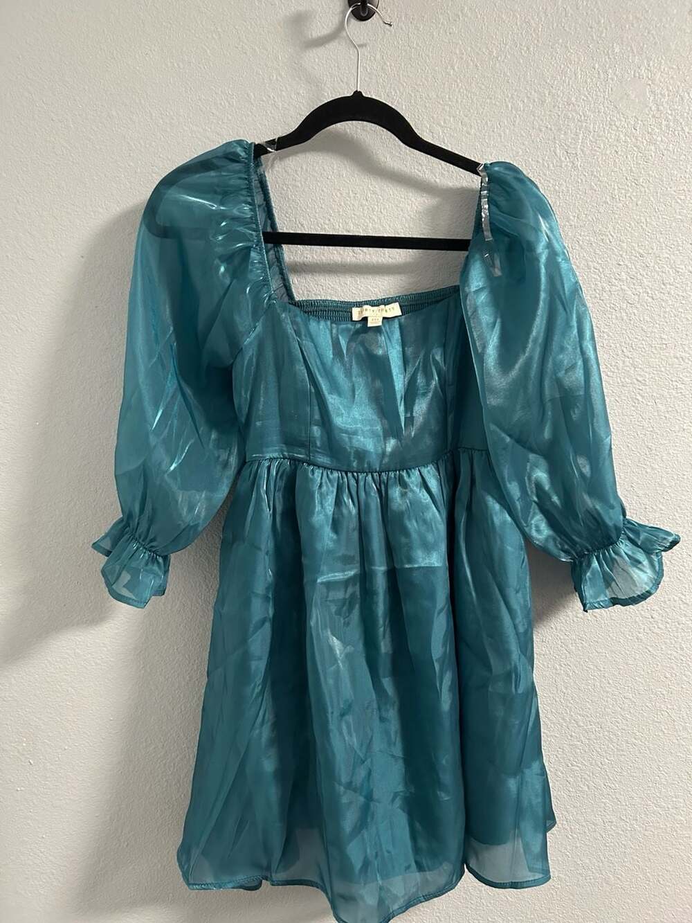 Thirty/Thirty LA Green Organza Fit & Flare Babydoll Dress with Puff Sleeves